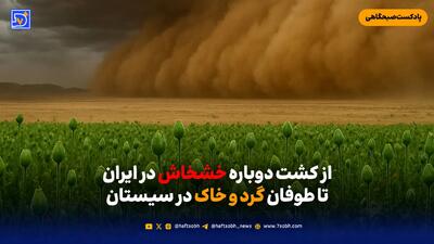 از کشت دوباره خشخاش در ایران تا طوفان گرد و خاک در سیستان