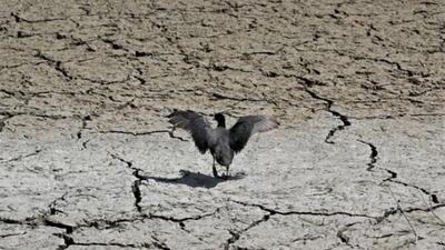 گرفتاری تهران در سه خشکسالی عمیق