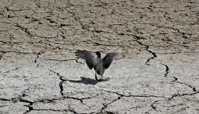 گرفتاری تهران در سه خشکسالی عمیق