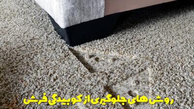  روش های جلوگیری از کوبیدگی فرش + نحوه رفع کوبیدگی و سفت شدن فرش
