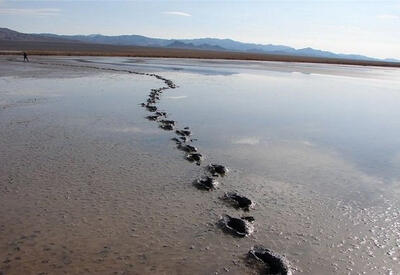 پرواز امید بر فراز کویر؛ تالاب کجی نهبندان دوباره زنده شد