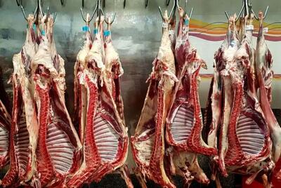 برزیل جایگاه نخست تولید گوشت گاو جهان را به دست آورد