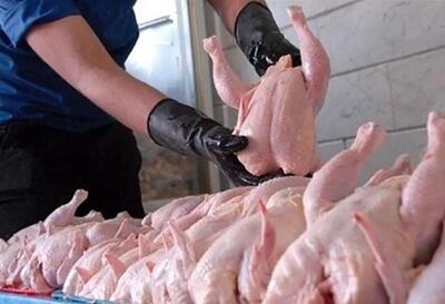 یک پیش‌بینی ترسناک درباره قیمت جدید مرغ!