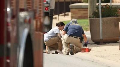  قتل زن مهاجر و حمایت بحث‌برانگیز ترامپ