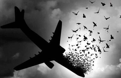 ۶ سال از فاجعه گذشت؛ زخمی بر پیکر وجدان جمعی ملت ایران