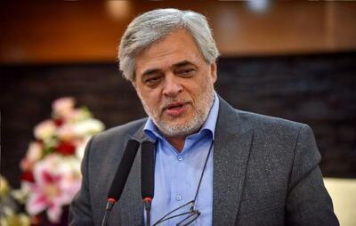  مهاجری: کشور را نمی‌توان با این دست‌فرمان اداره کرد/ مجلس، برخی دستگاهها و تندروها مزاحمند