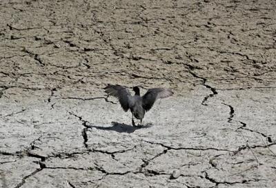 هواشناسی: تهران درگیر پیامد سه نوع خشکسالی است / خشکسالی پدیده‌ای نیست که به طور ناگهانی آغاز شود یا پایان یابد