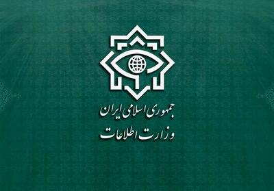 وزارت اطلاعات: عضویت در صفحات گروه های معاند، مصداق اقدام مجرمانه است