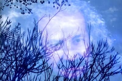 تصاویر؛ حضور هنرمندان در مراسم تشییع سعید پیردوست