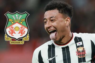 ستاره سابق منچستریونایتد به فوتبال انگلیس بازمی‌گردد؟