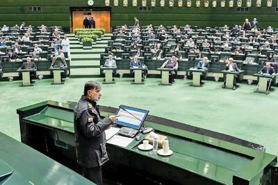 گفت‌وگو با نمایندگان درباره آنچه در جلسه غیرعلنی دیروز مجلس گذشت/ آمار جان‌باختگان ناآرامی‌ها