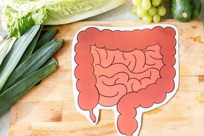 یافته‌های جدید درباره سرطان روده