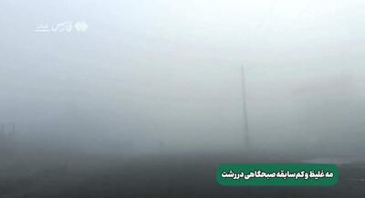 مه غلیظ صبحگاهی در رشت +فیلم | جهان نیوز