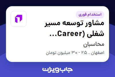  استخدام مشاور توسعه مسیر شغلی (Career Development Consultant) در محاسبان