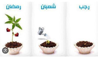  رجب تا رمضان؛ ماه‌های خانه‌تکانی معنوی برای قلب مؤمن