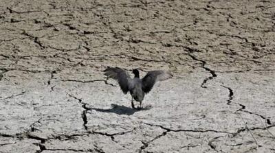 گرفتاری تهران در سه خشکسالی عمیق - مردم سالاری آنلاین