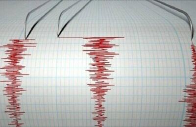 لامرد فارس لرزید
