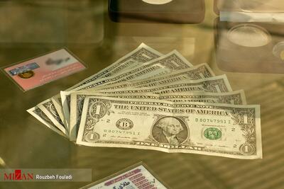 ارز چندنرخی بزرگ‌ترین مانع شفافیت اقتصادی و ضربه‌زننده به تولید است