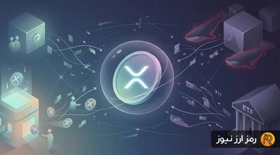 سیگنال‌های متناقض ریپل؛ آیا سرمایه‌گذاران کره‌ای جلوی فشار خروج نهادی‌ها را می‌گیرند؟