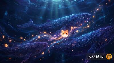 افزایش ۱۱۱ درصدی تراکنش‌‌های بزرگ شیبا؛ نهنگ‌ها برای رالی ۲۰۲۶ آماده می‌شوند؟