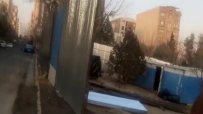 شهرداری تهران وسط پارک محلی کارگاه زده است / شهروندان نگران درختان پارک  + فیلم