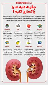  اینفوگرافی| چگونه کلیه‌ها را پاک‌سازی کنیم؟