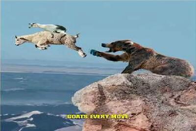 بر مدار وحش؛ بز کره اش رو میندازه کولش پرواز میکنه دست خرس بهشون نرسه