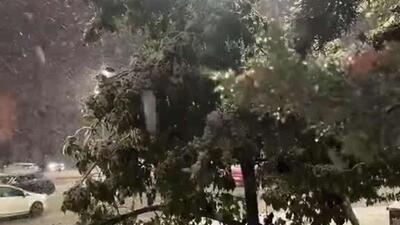  برای اولین بار پس از سال‌ها، در شهر اوجده مراکش برف بارید