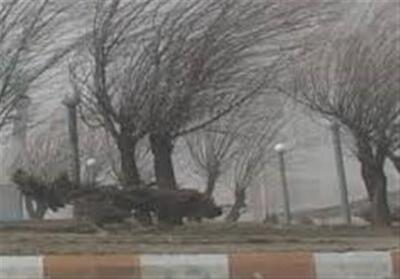 تندباد اردبیل را درمی‌نوردد - تسنیم