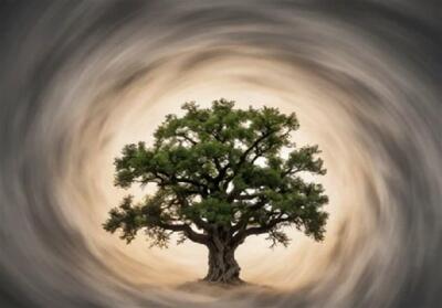 نهج حیات| راز آرامش در دلِ سختی‌ها - تسنیم