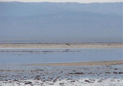 اجرای برنامه جامع تالاب کجی نمکزار نیازمند هم‌افزایی دستگاه‌ها - تسنیم