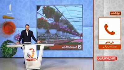  وضعیت خوب صادرات گیاهان دارویی به کشورهای دیگر + فیلم