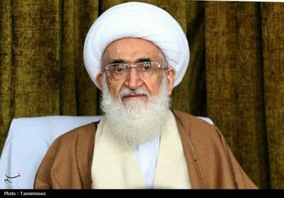 آیت الله نوری همدانی: هرگونه فتنه گری خیانت به نظام و انقلاب است - تسنیم