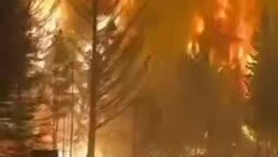  آتش‌سوزی هزاران هکتار جنگل‌های پاتاگونیا در آرژانتین را نابود کرد