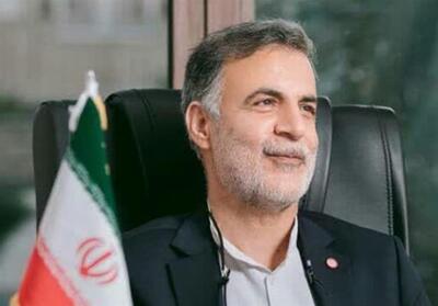 انتقاد یک نماینده از اظهارات سخنگوی دولت - تسنیم