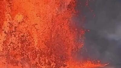  یک جفت غاز نترس در نزدیکی آتشفشان در حال فوران کیلاویا در هاوایی دیده شدند