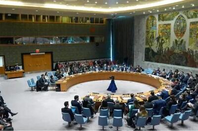 سخنرانی مسیح علی‌نژاد در شورای امنیت علیه ایران! - اکونیوز