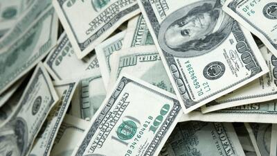 چرا اصلاحات ارزی زودتر اعلام نشد؟