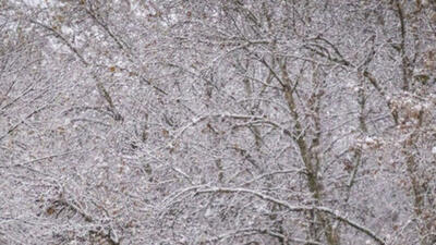 برف و باران برای امروز و فردا/ کاهش تا ۱۰ درجه‌ای دما در بعضی مناطق