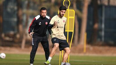 پرسپولیس بازیکن عاشق می‌خواهد