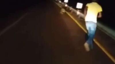  سیل باعث هرج و مرج تمساح‌ها در آفریقای جنوبی شد