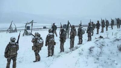  رسانه‌ها: دانمارک نمی‌تواند از اوکراین برای دفاع از گرینلند درخواست کمک کند