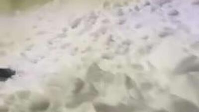  منطقه کامچاتکا روسیه غرق در برف شد