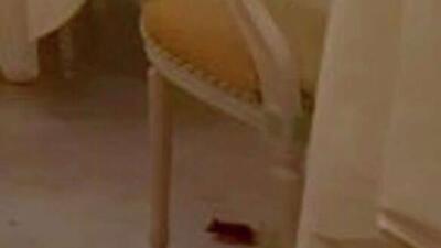  حضور یک موش در رستوران معروف جهانی هتل 5 ستاره ریتز در لندن