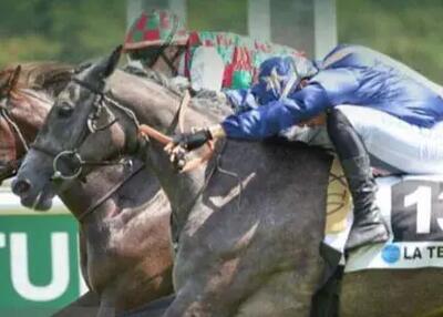  جابه‌جایی ساختمان فدراسیون سوارکاری