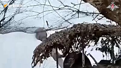 وزارت دفاع روسیه: خدمه واحدهای توپخانه خودکششی گووزدیکا متعلق به یگان «شرق روسیه نقاط کنترل پهپاد دشمن واقع در مناطق جنگلی منطقه زاپاروژیه را هدف قرار دادند