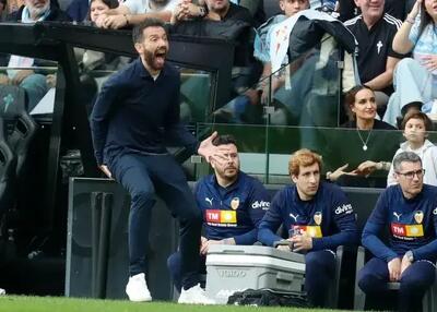 فرار خفاش‌های اسپانیا از منطقه سقوط