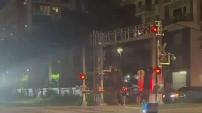  در زمستانی که هیچ رباتی زنده نماند