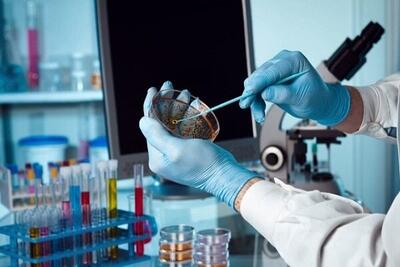  سازمان انتقال خون محور توسعه بانک سلول‌های بنیادی - اکونیوز