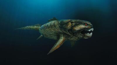  ۳۶۰ میلیون سال پیش این جانور خطرناک‌ترین موجود دریاها بود | گیمفا